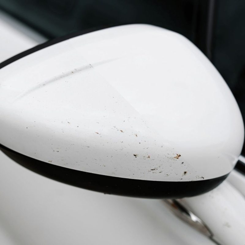 K2 NUTA Anti Insect PRO 1L – płyn do usuwania owadów