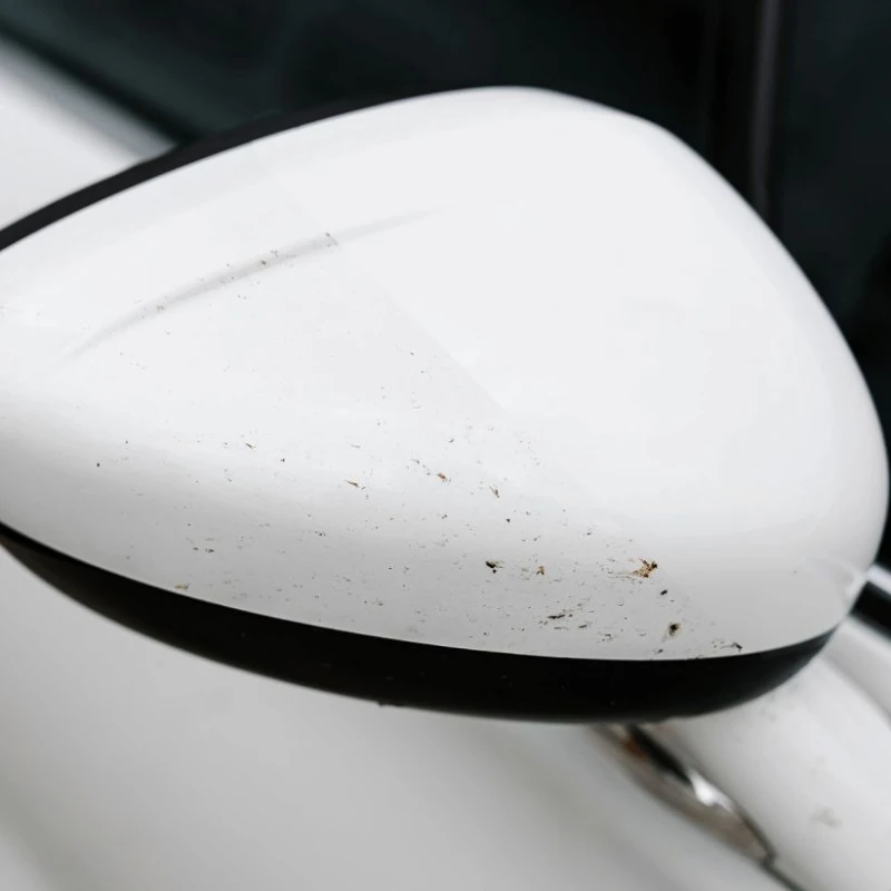 K2 NUTA Anti Insect PRO 1L – płyn do usuwania owadów